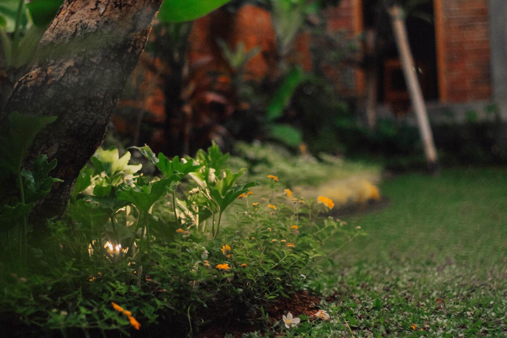 Govardan Home Stay Canggu Exteriör bild